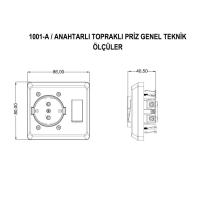 NE-AD 1001-A Anahtarlı Topraklı Priz 